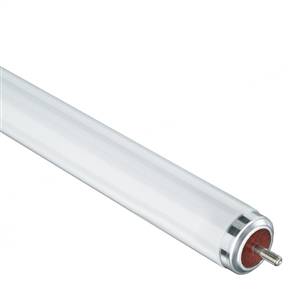 Casell F40T12-CWTLX-CA - 40w T12 1200mm 4 Foot FA6 TLX Tube Fluorescent/Strip Casell - Casell Lighting