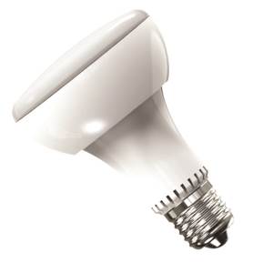 Casell R80L10ES-82D-CA - R80 240v LED 10w E27 2700k Dimmab LEDs Casell - Casell Lighting