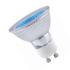 GU10 240v 2w LED 51mm Flood - Blue LED Light Bulbs Casell - Casell Lighting