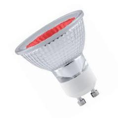 GU10 240v 2w LED 51mm Flood Red LED Light Bulbs Casell - Casell Lighting