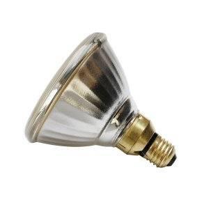 PAR38 120W ES / E27 Spot bulb - 120v Halogen Bulbs Casell  - Casell Lighting