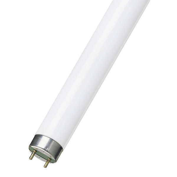 18" 15W Blacklight BL368  Other - The Lamp Company