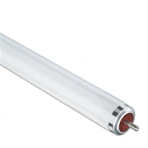Casell F65T12-CWTLX-CA - 65w T12 1500mm 5 Foot FA6 TLX Tube Fluorescent/Strip Casell  - Casell Lighting