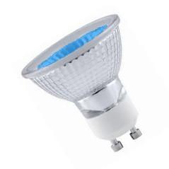 GU10 240v 2w LED  51mm Flood - Blue LED Light Bulbs Casell  - Casell Lighting