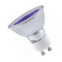 GU10 50W Spot Bulb - Purple Halogen Bulbs Casell  - Casell Lighting